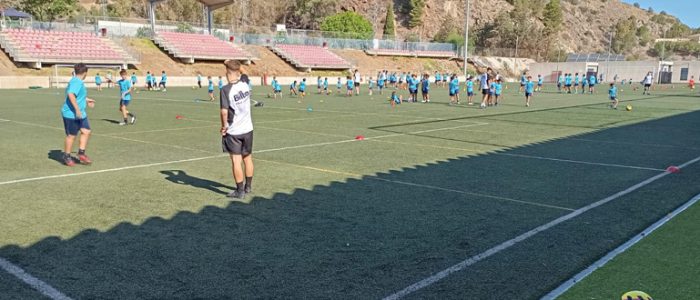plantilla copia