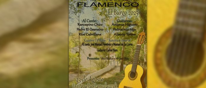 plantilla copia
