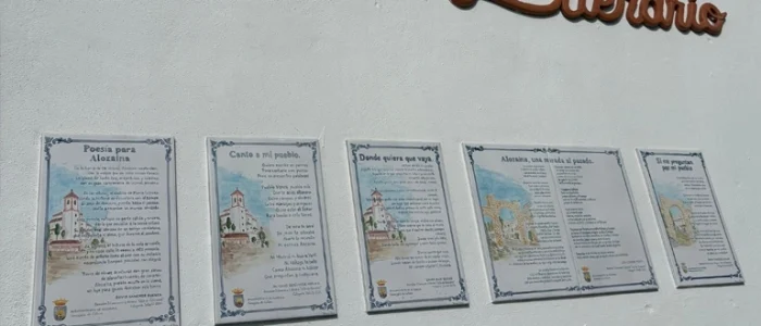 plantilla copia