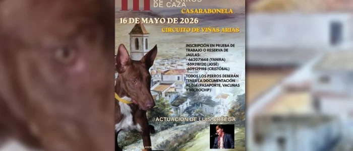 plantilla copia