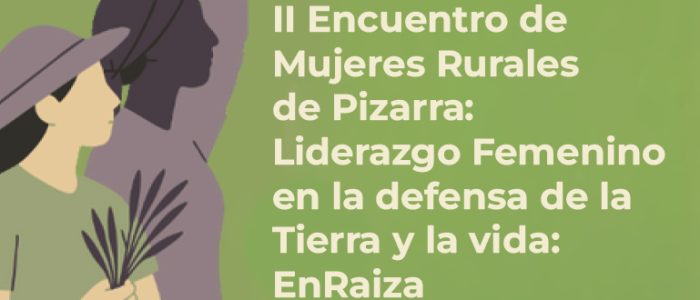 plantilla copia