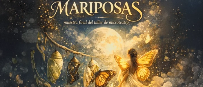 plantilla copia