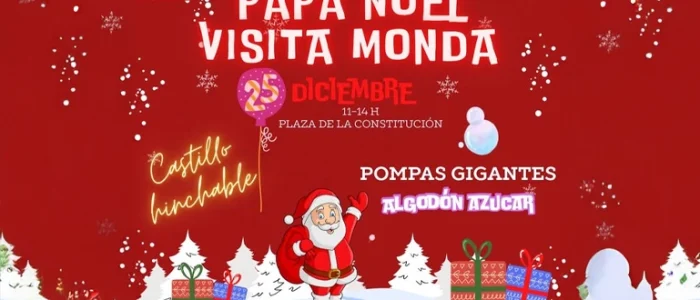 plantilla copia