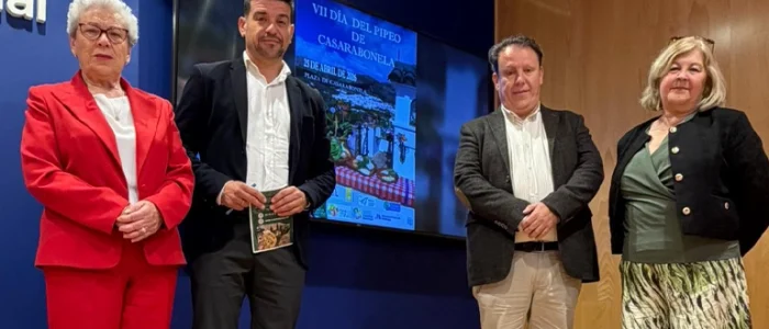 plantilla copia