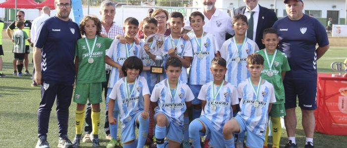 plantilla copia