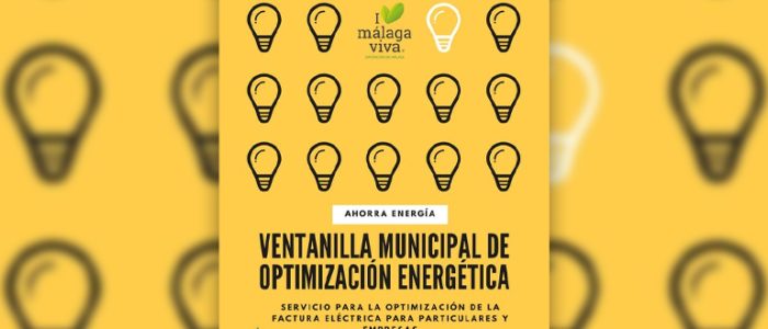 plantilla copia