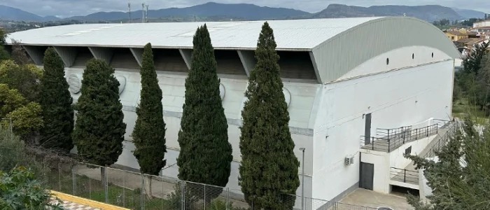 plantilla copia