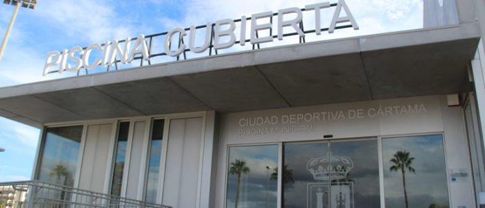 plantilla copia