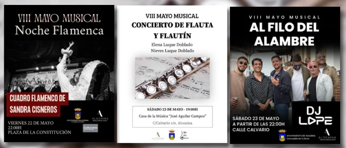 plantilla copia