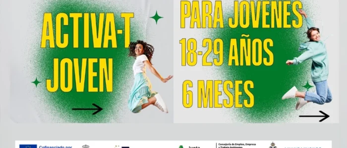 plantilla copia
