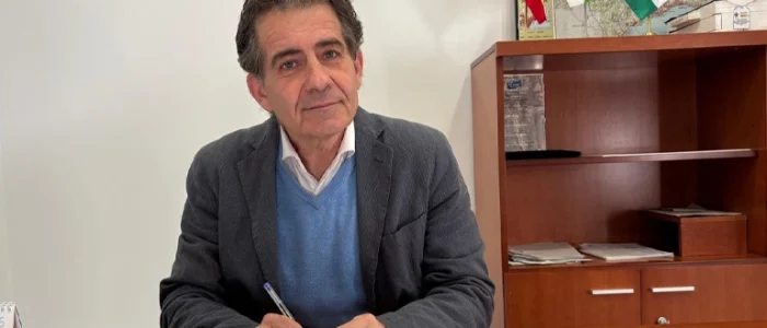 plantilla copia