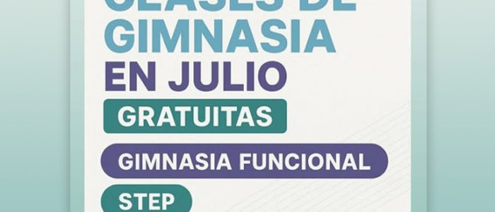 plantilla copia