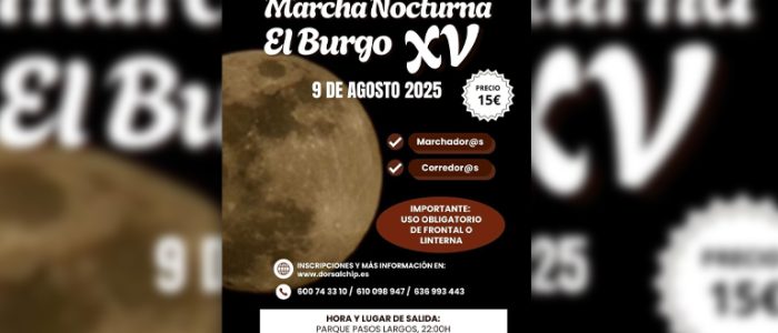 plantilla copia
