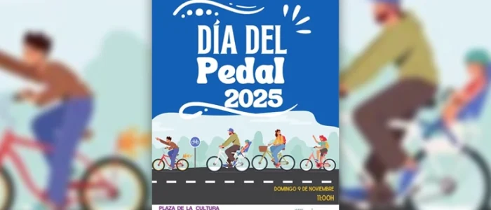 plantilla copia