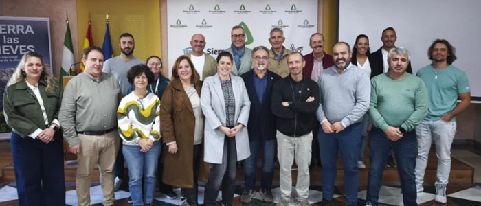 plantilla copia
