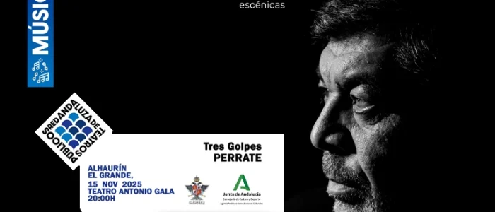 plantilla copia