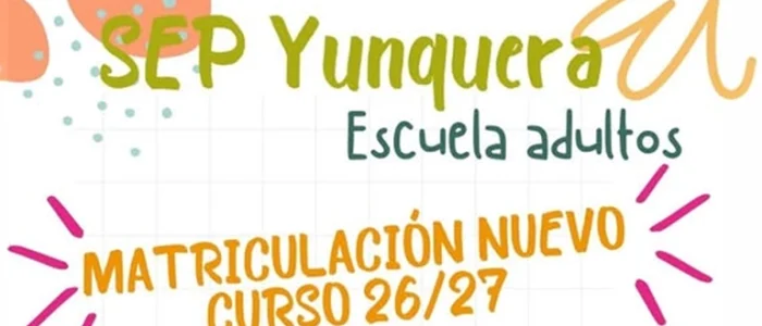 plantilla copia