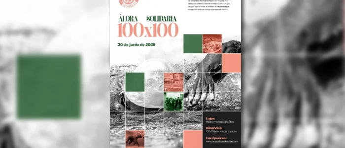 plantilla copia