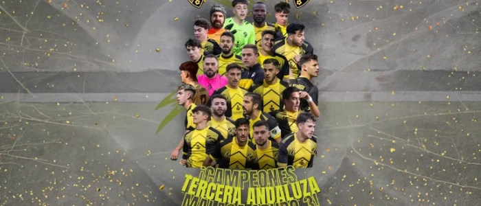 plantilla copia