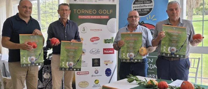 plantilla copia