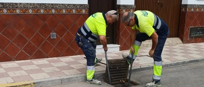 plantilla copia