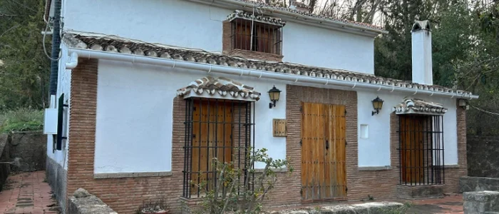plantilla copia