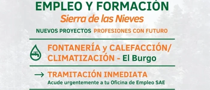 plantilla copia